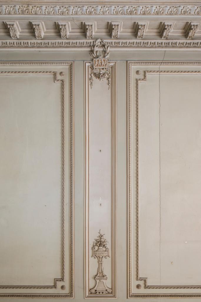 décors d'architecture du grand salon : plafond, lambris de hauteur, tableaux (3), cheminée, miroirs de trumeaux (2)