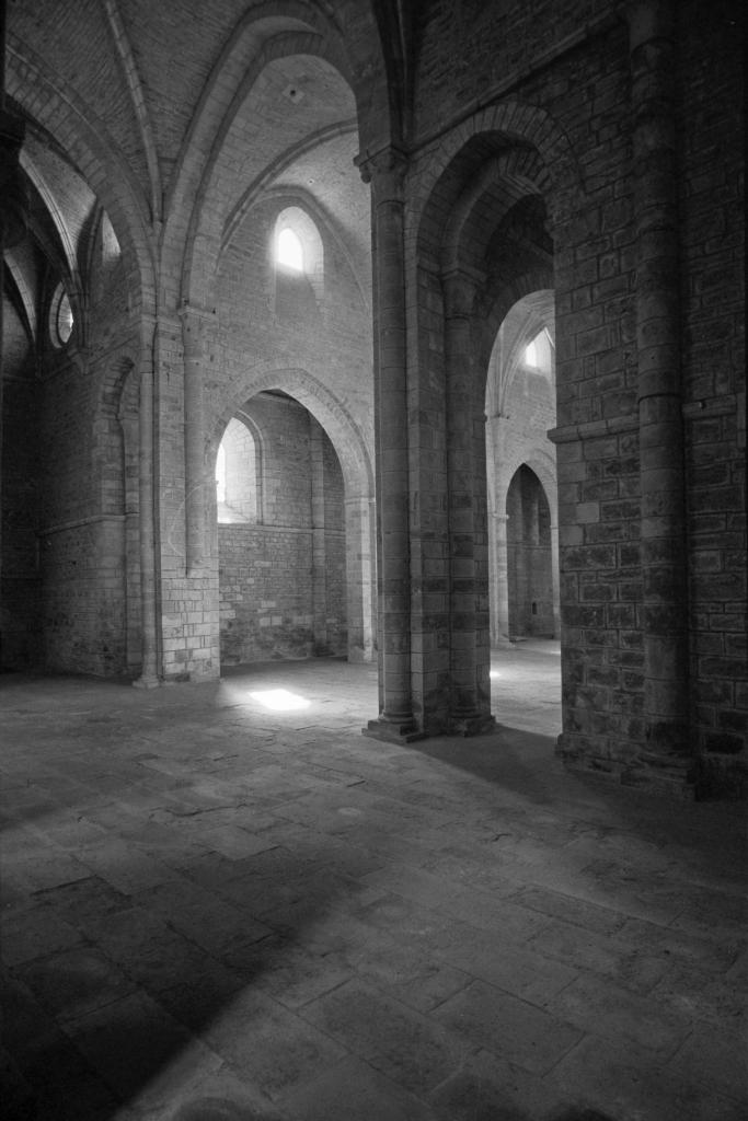 ancienne église conventuelle de cisterciens, actuellement église Notre-Dame de Loc-Dieu