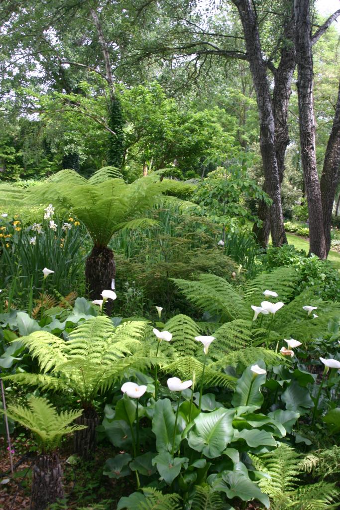 jardin botanique dit Les Martels