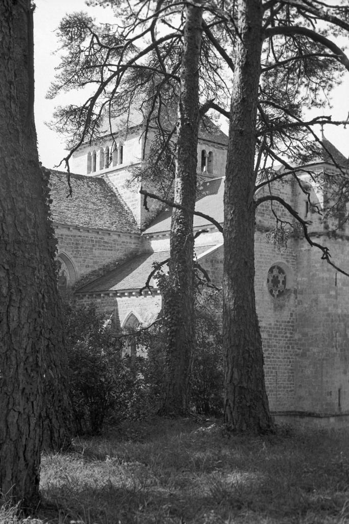 ancienne église conventuelle de cisterciens, actuellement église Notre-Dame de Loc-Dieu