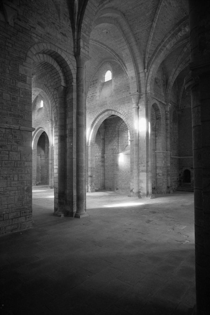 ancienne église conventuelle de cisterciens, actuellement église Notre-Dame de Loc-Dieu
