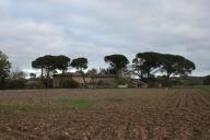 ferme