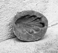 moule : feuille