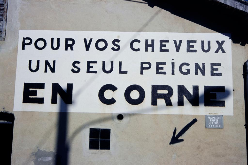 fabrique de peigne en corne dite Le peigne de lAriège, Seguy Beille et Cie, puis Seguy-Bigou et Cie, puis Seguy et Cie, puis Delpech, puis Da Fonseca