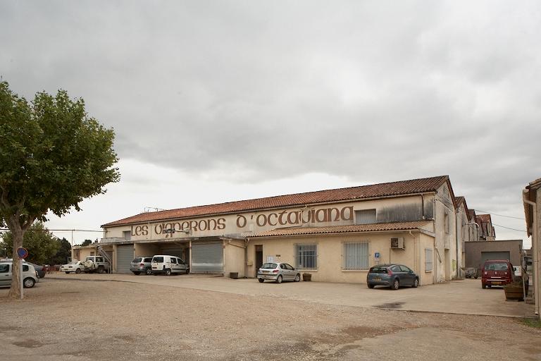 coopérative vinicole : Les Vignerons d'Octaviana ; Le Cellier d'Orphée