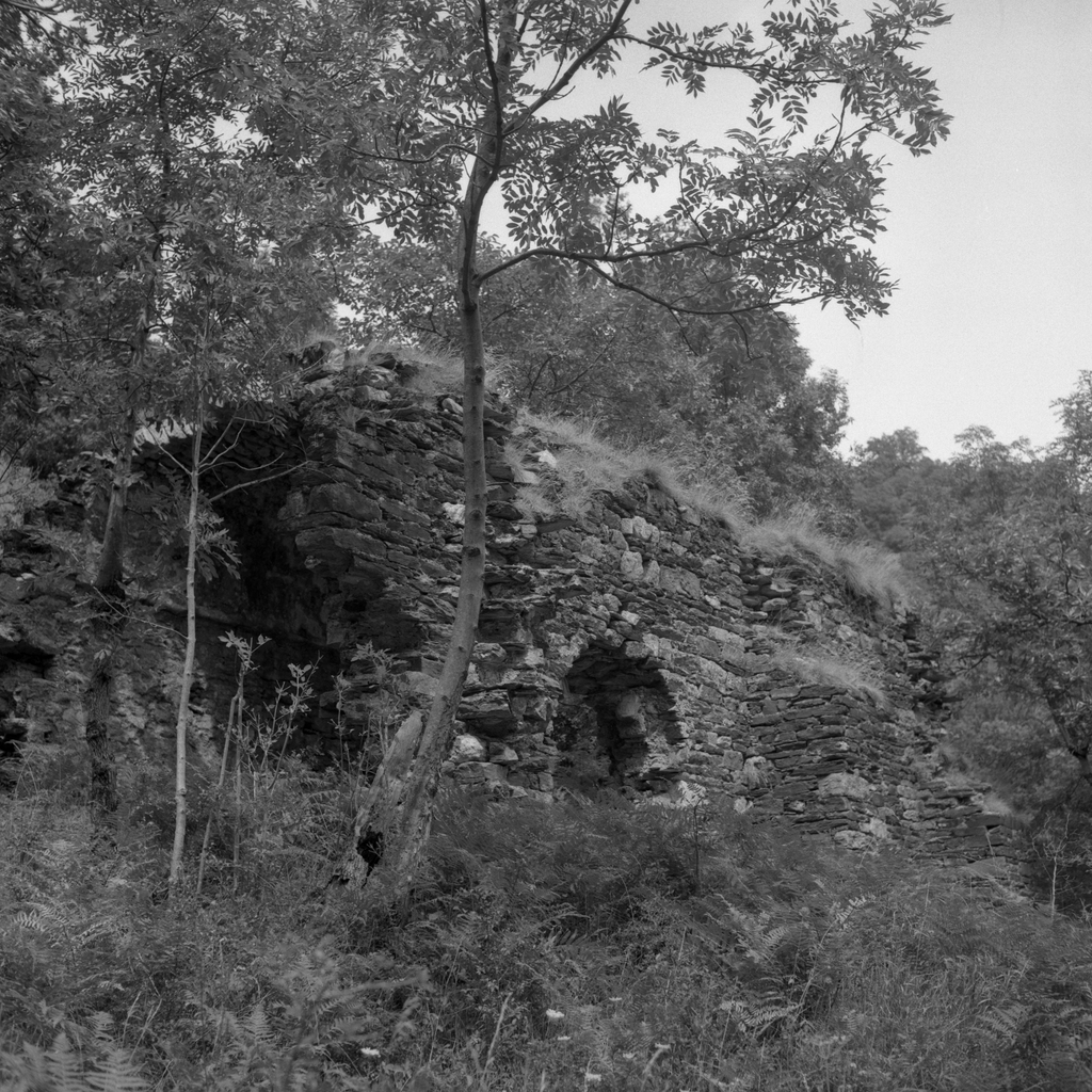Etude de la commune de Barre-des-Cevennes
