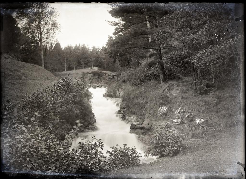 parc de Saint-Ferréol