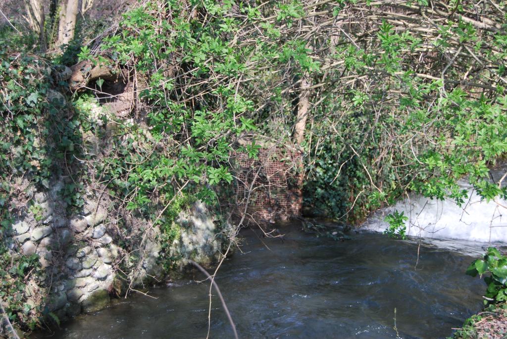 moulin à foulon et filature