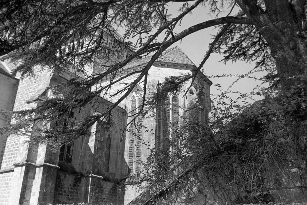 ancienne église conventuelle de cisterciens, actuellement église Notre-Dame de Loc-Dieu