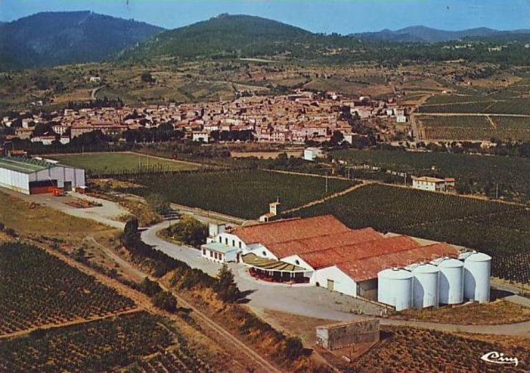 coopérative vinicole : La Vigneronne ; Cellier du Palais Abbatial