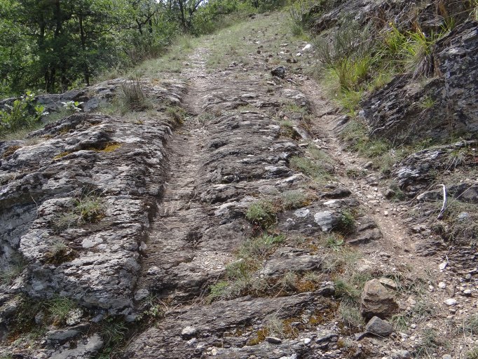 chemin médiéval