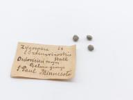 Paléontologie - Zygospira recurvirostris (détermination d'origine)