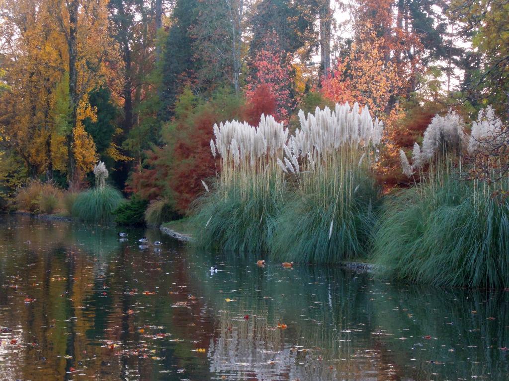 ancien jardin botanique dit Jardin Massey actuellement jardin public