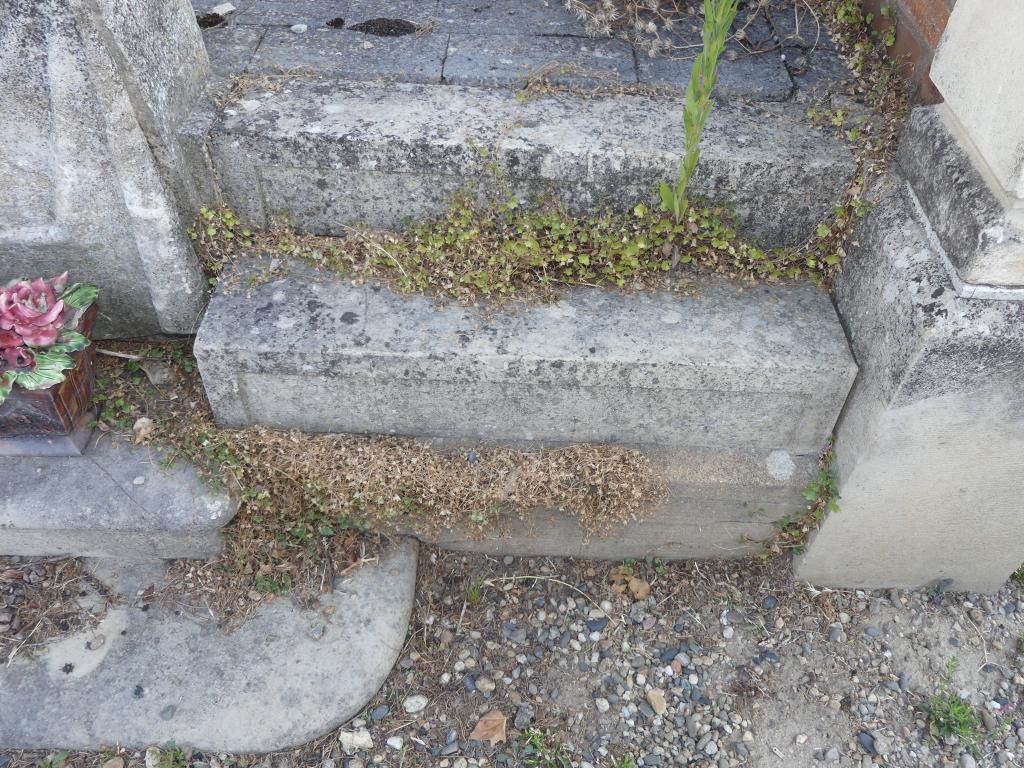 tombe, trapèze B, couronne, n°245, tombeau de Jean et Emile Gibert