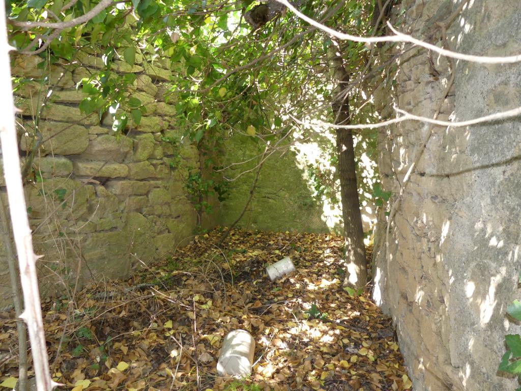 moulin de la Barthe