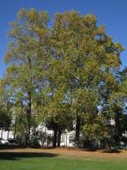 jardin public des Vignaux