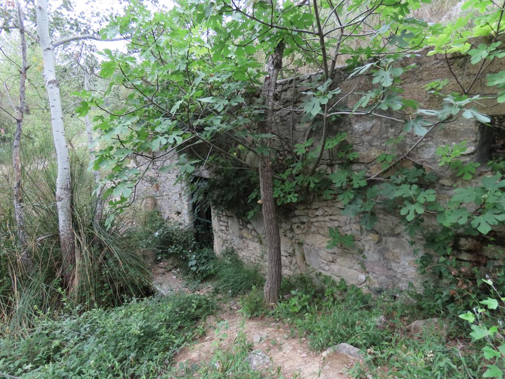 Captage de la source dite "la Font d'Arques" ; aqueduc ; réservoirs de Caveirac