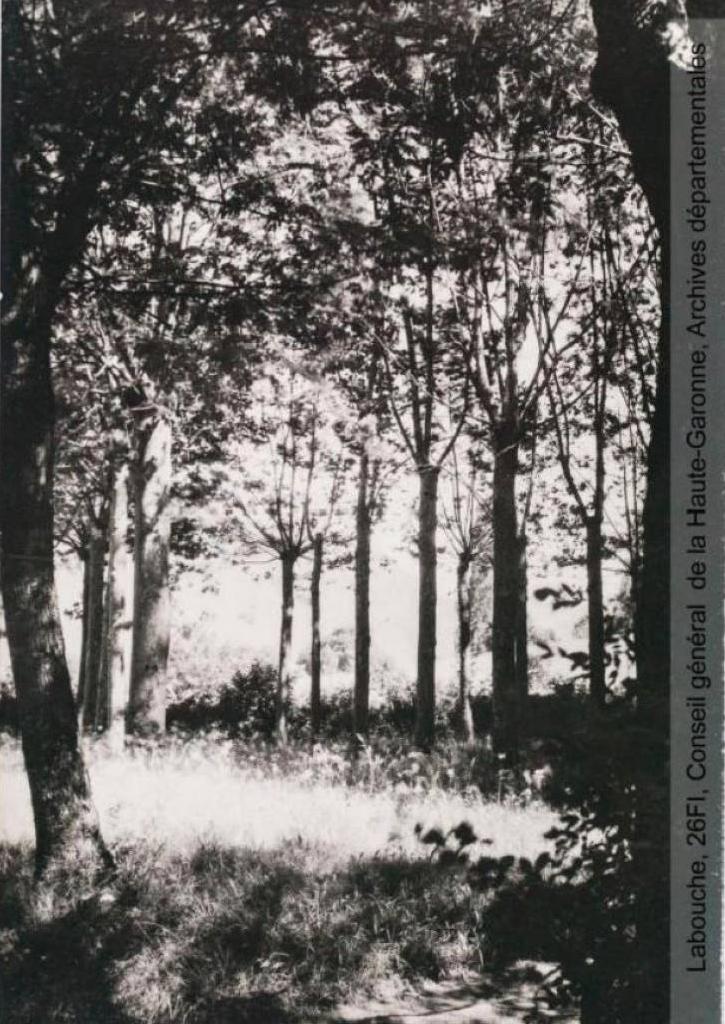 parc thermal de Siradan