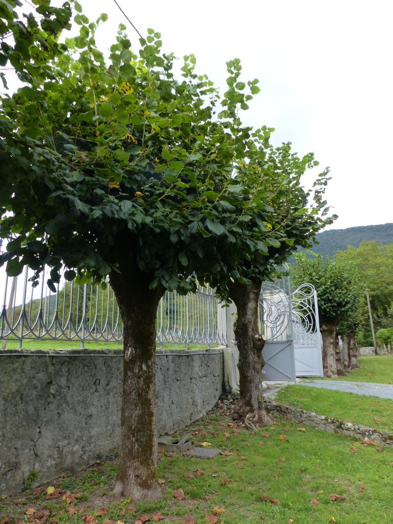 villa Henry