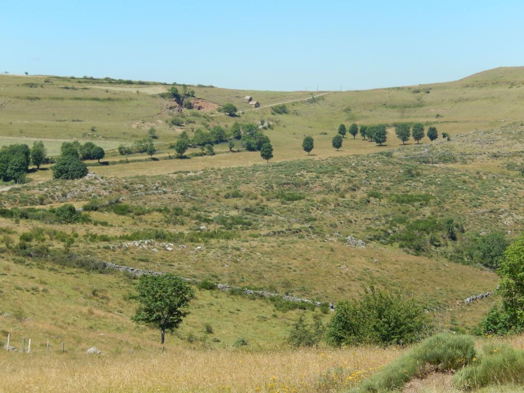 jasse de Grizac