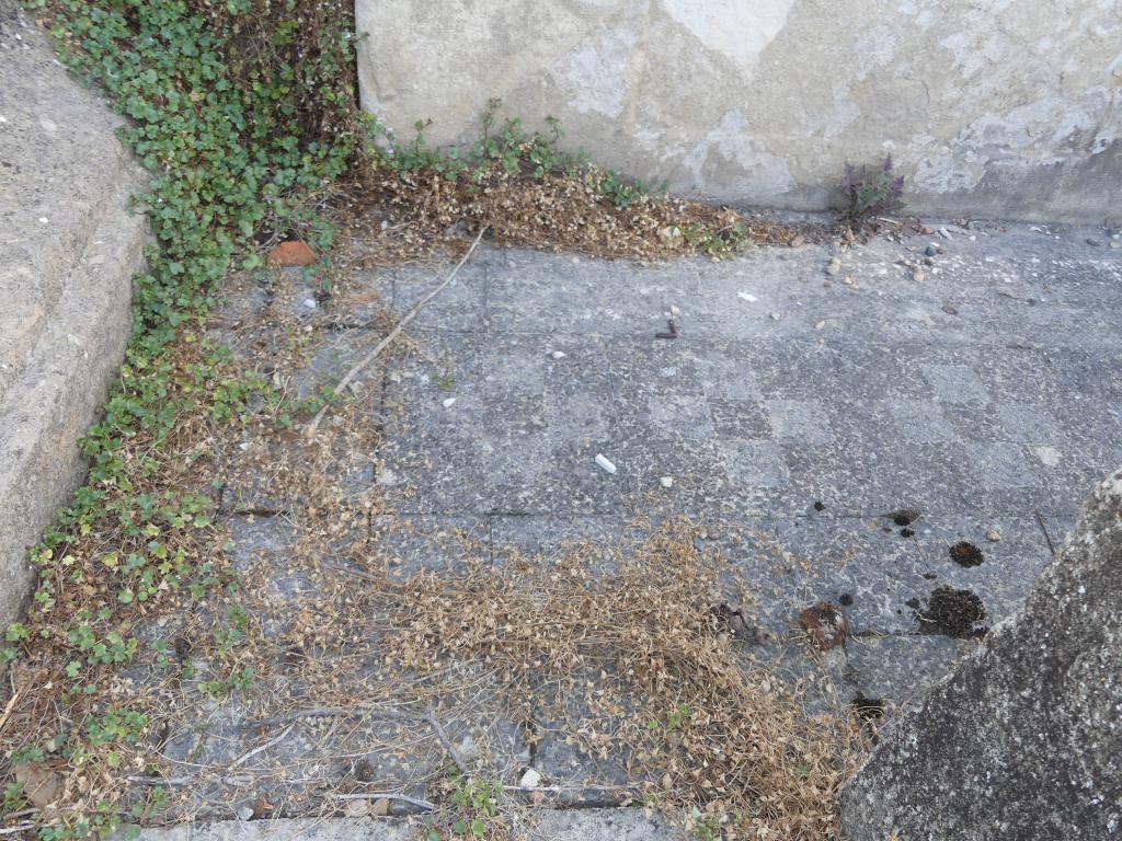 tombe, trapèze B, couronne, n°245, tombeau de Jean et Emile Gibert